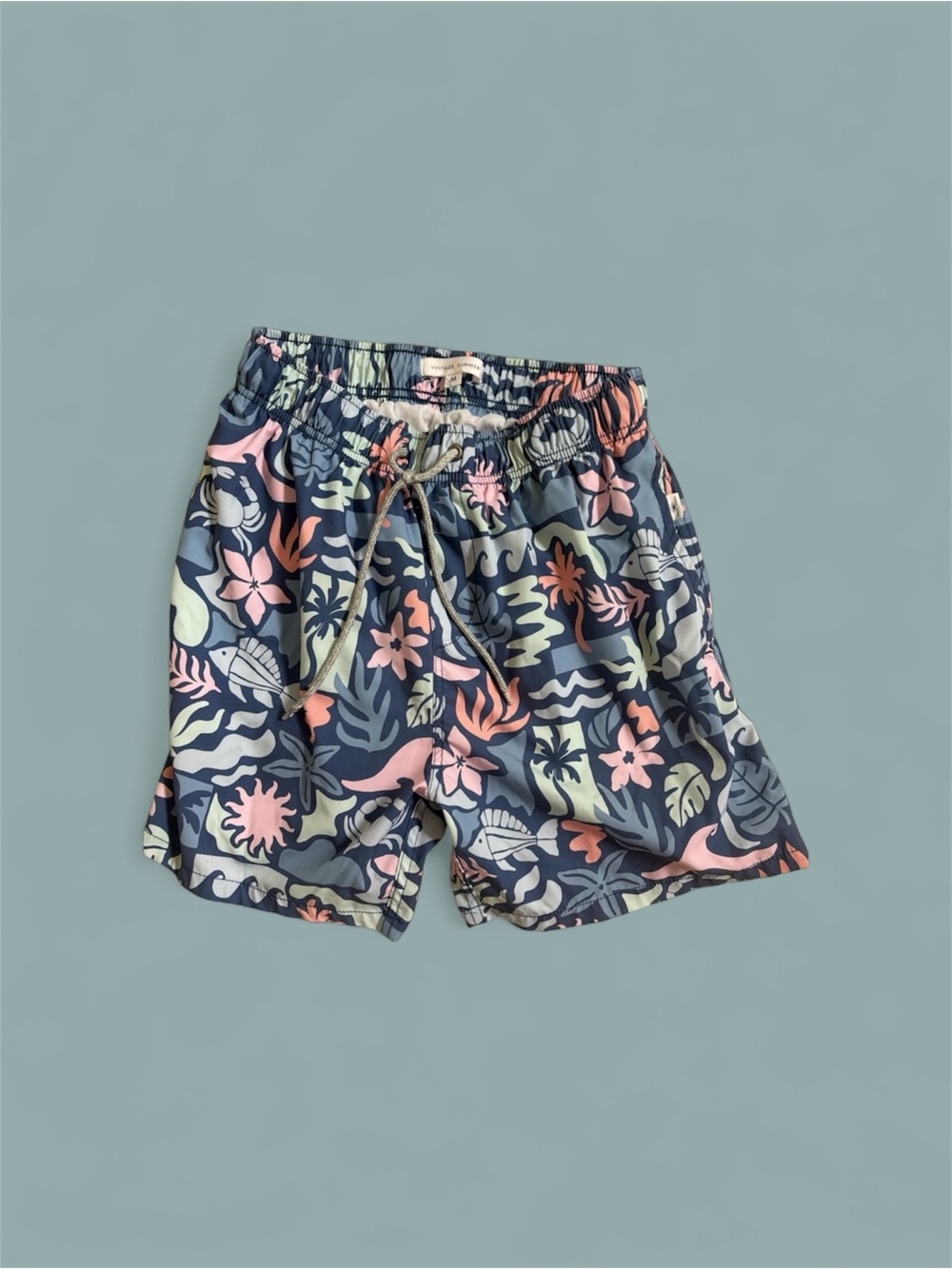 Vintage Summer Men's Swim Shorts - Navy, Pink & Light Green